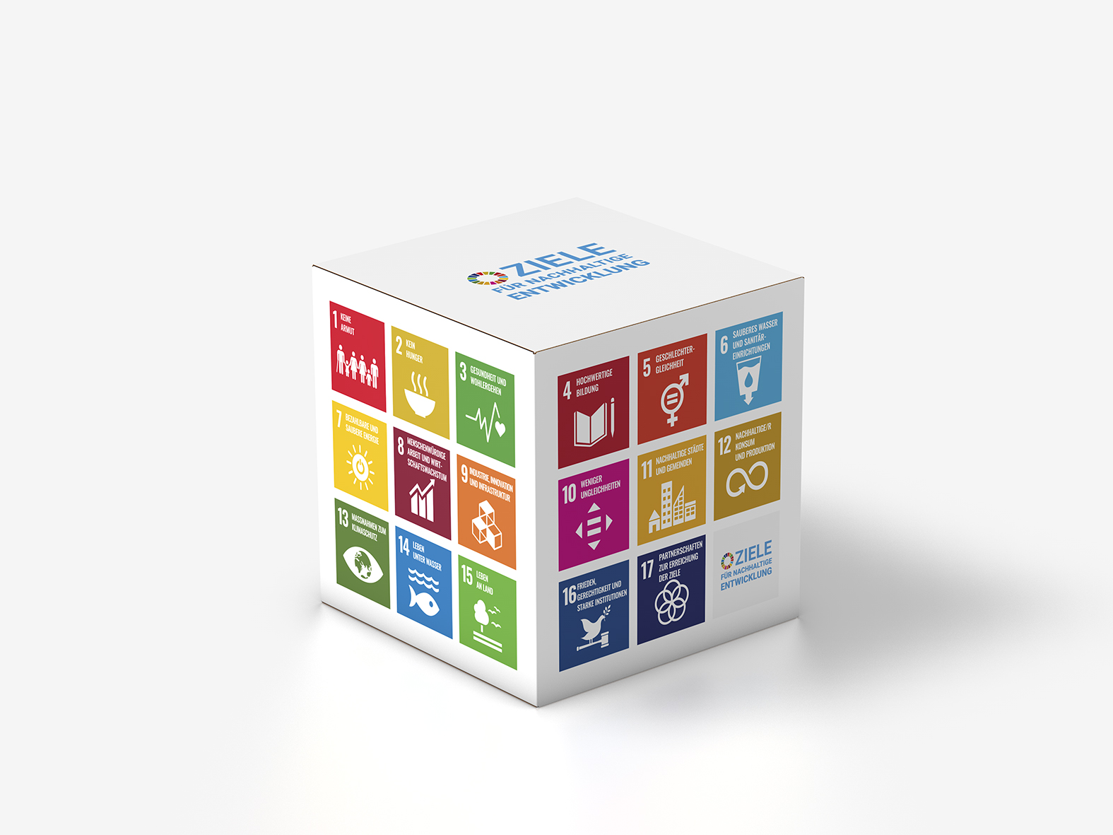 Würfel DEKO 30- Ziele für nachhaltige Entwicklung